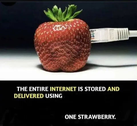 The Entire Internet Strawberry