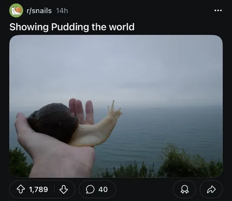 Showing Pudding the World