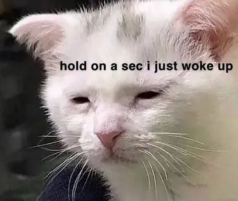 Just Woke Up Cat