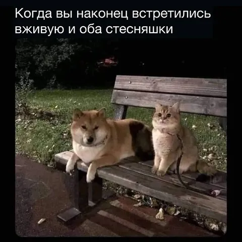 Когда оба стесняшки встретились