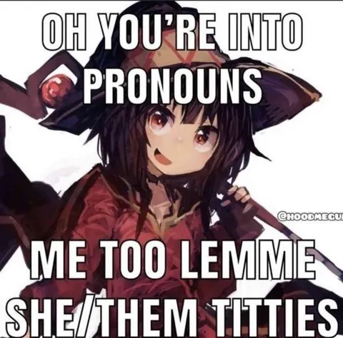 She Them Titties Pronoun Joke