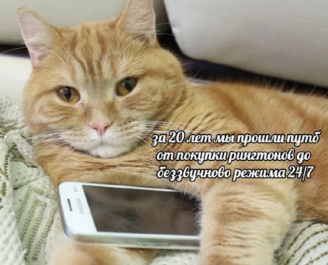 От рингтонов до беззвучного режима