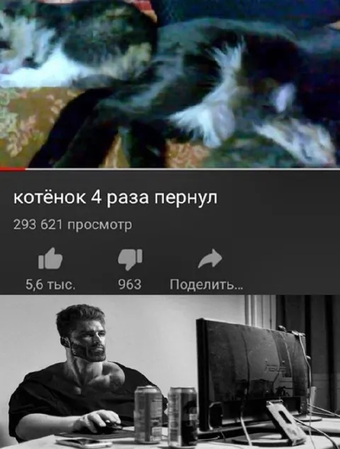 Котёнок 4 раза пернул