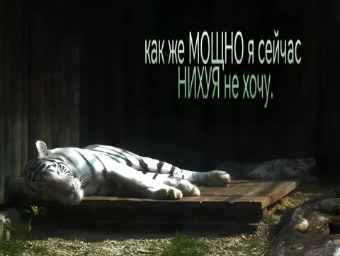 Мощно ничего не хочу
