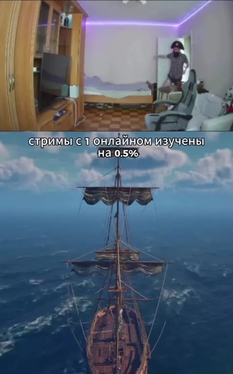 Стримы с онлайн изучены на 0,5%