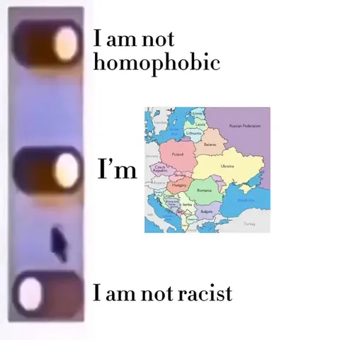 I Am Not Homophobic or Racist