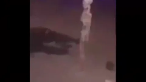 Скелеты под Bad to the Bone