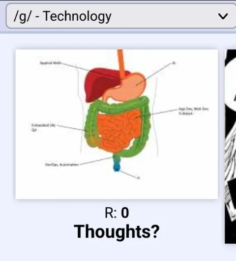 Digestive System Thoughts