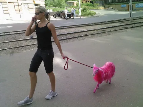 Розовая овца на прогулке