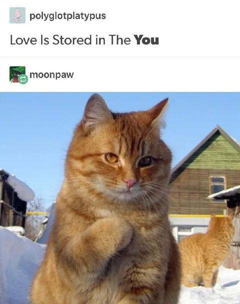Love Is Stored in The You