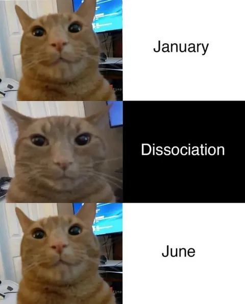 January to June Dissociation