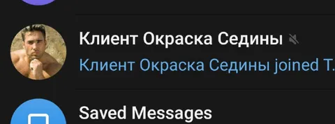 Клиент Окраска Седины присоединился