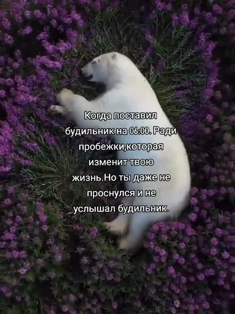 Проспал утреннюю пробежку