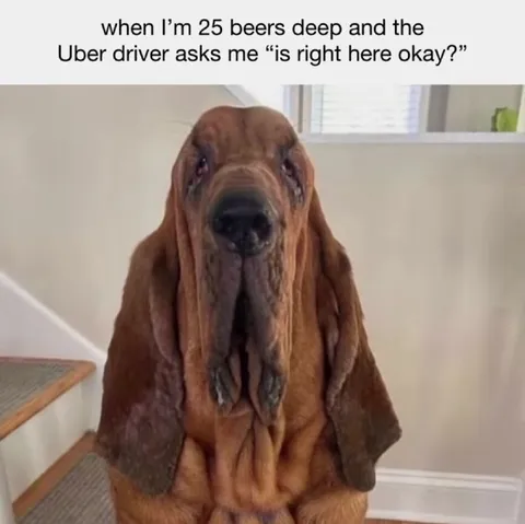 25 Beers Deep Uber Ride