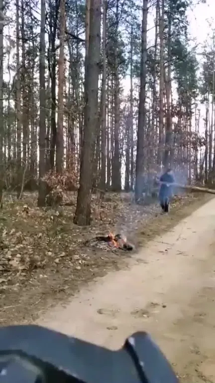 Wybuch przy ognisku w lesie
