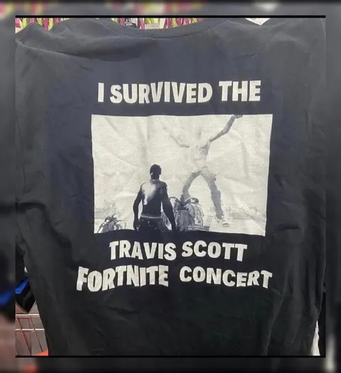 I Survived the Fortnite Concert