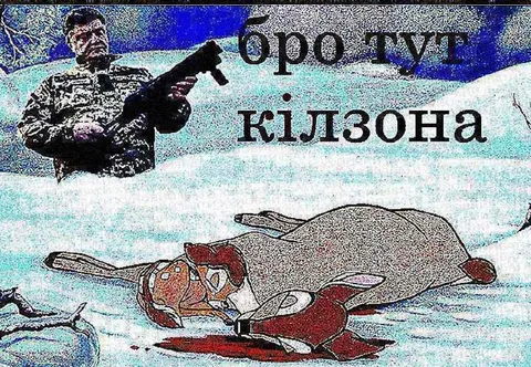 Брошу килзона