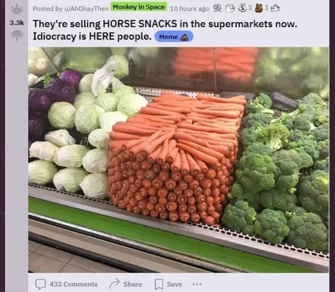 Horse Snacks at the Supermarket