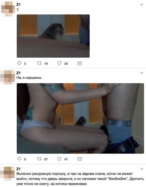 Котик на заднем плане
