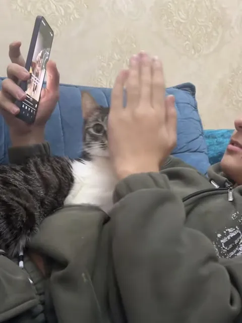 Кот не выдержал танца