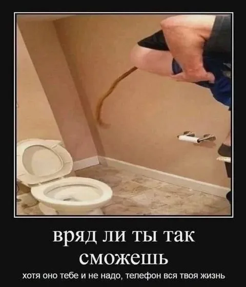 Телефон — вся твоя жизнь