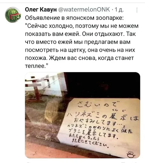 Щетка вместо ежей