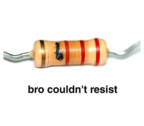 Bro Couldn't Resist Resistor