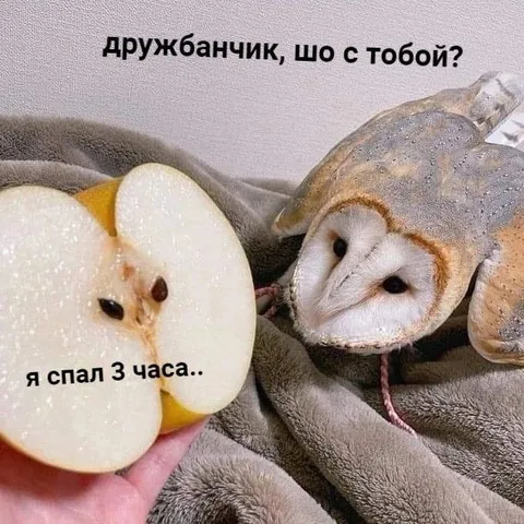 Я спав 3 часа