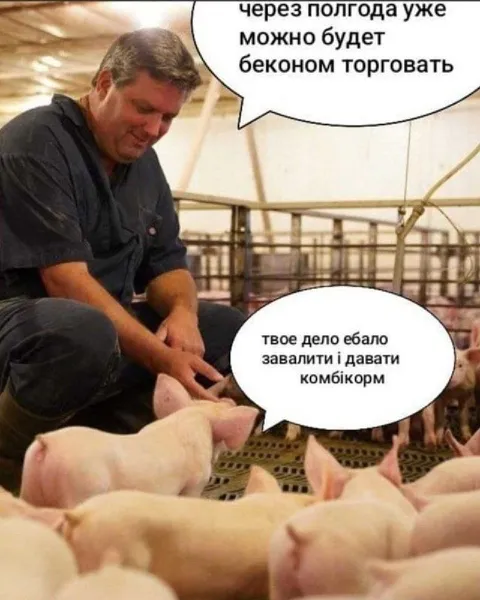 Поросята о торговле беконом