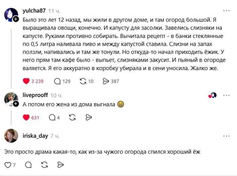 Ёжик спился из-за огорода