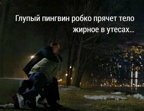 Глупый пингвин прячет тело
