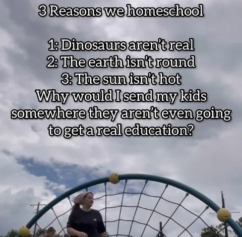 Three Reasons We Homeschool