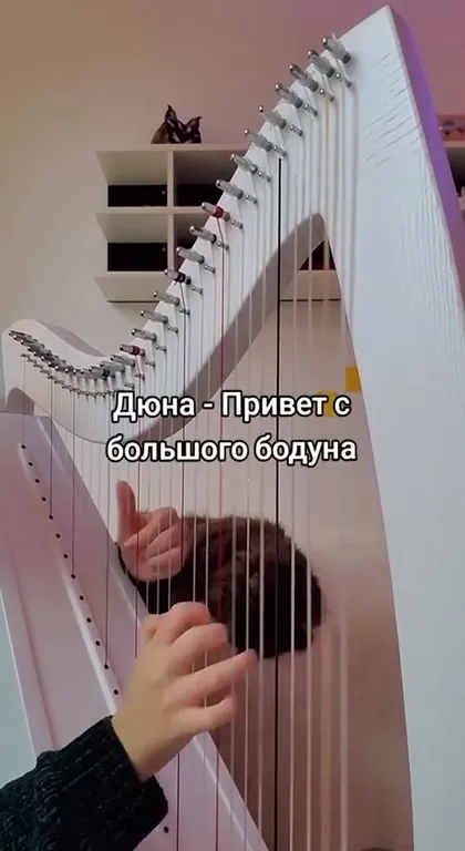 Кот играет на арфе после бодуна