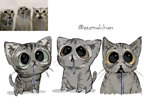 Коты проверяют потолок