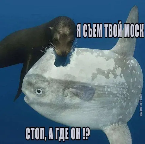 Я съем твой мозг