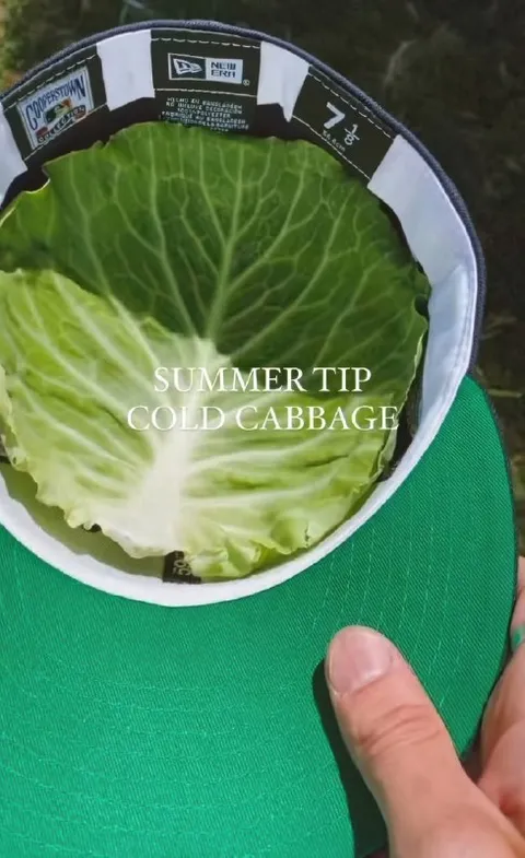 Summer Tip Cold Cabbage