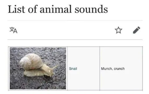 Snail Munch Crunch