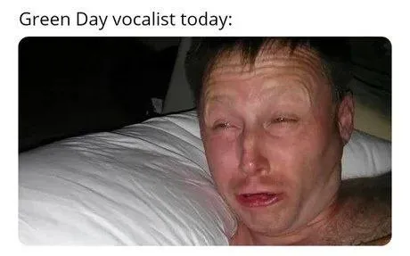 Green Day Vocalist Today