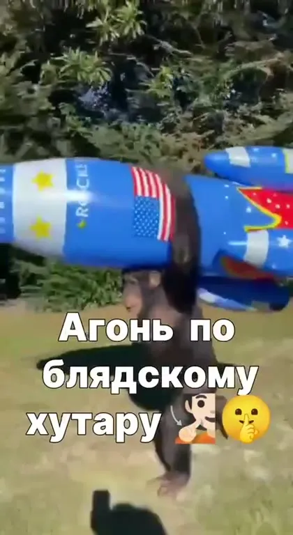 Обезьяний набор реакций