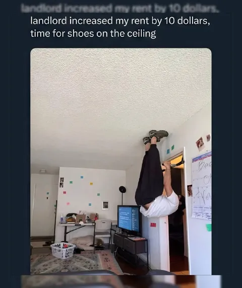 Shoes on the Ceiling