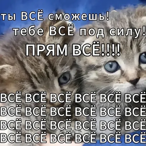 Кот, который всё сможет