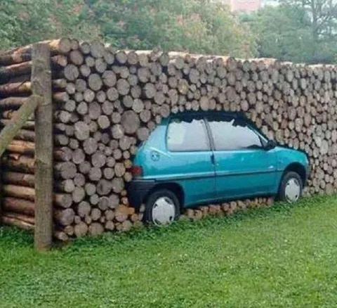 Машина, спрятанная в дровах