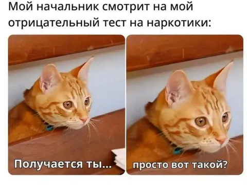 Начальник смотрит тест на наркотики