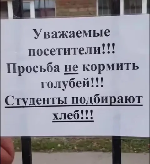 Студенты подбирают хлеб