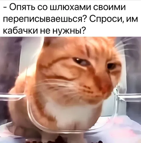 Опять со шлюхами своими переписываешься