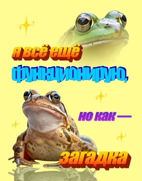 Я всё ещё функционирую