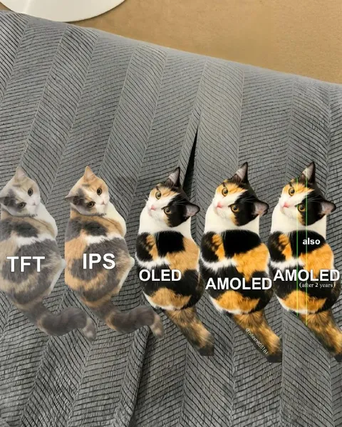 Cats Comparing Display Technologies