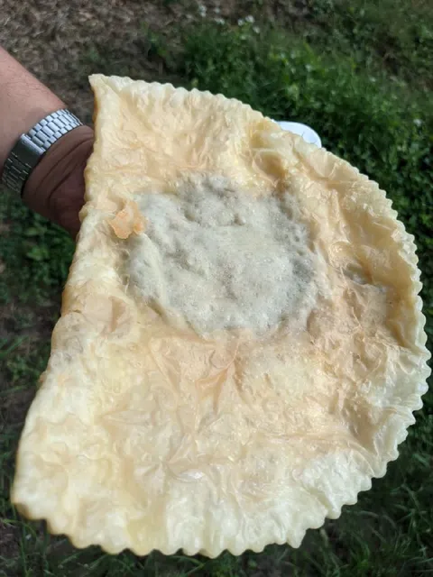 Матушка, мы это проглотим?