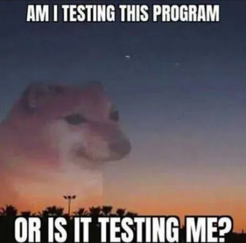 Am I Testing This Program?