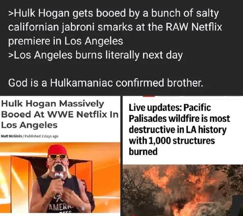 Hulk Hogan’s Los Angeles Backlash